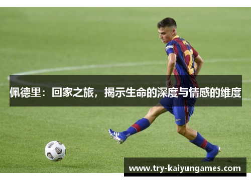 佩德里：回家之旅，揭示生命的深度与情感的维度