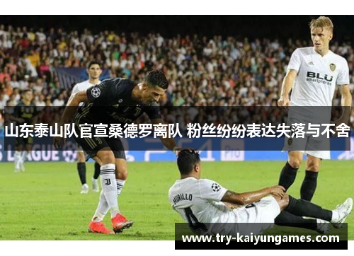 山东泰山队官宣桑德罗离队 粉丝纷纷表达失落与不舍