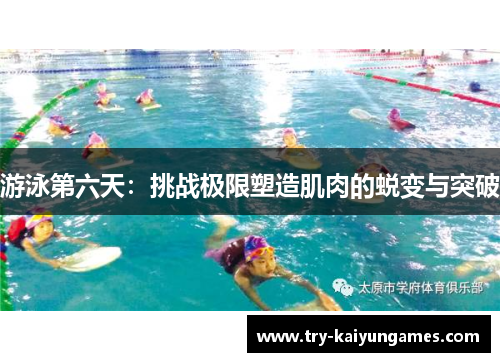游泳第六天：挑战极限塑造肌肉的蜕变与突破
