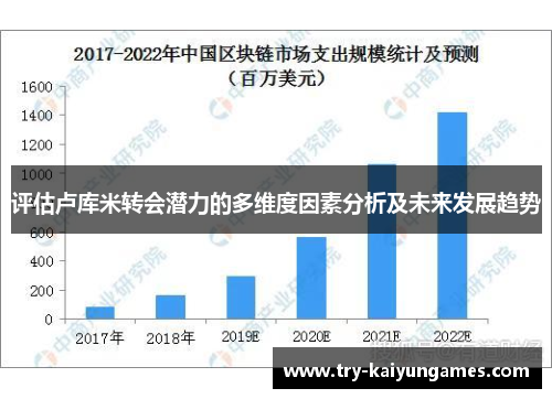 评估卢库米转会潜力的多维度因素分析及未来发展趋势