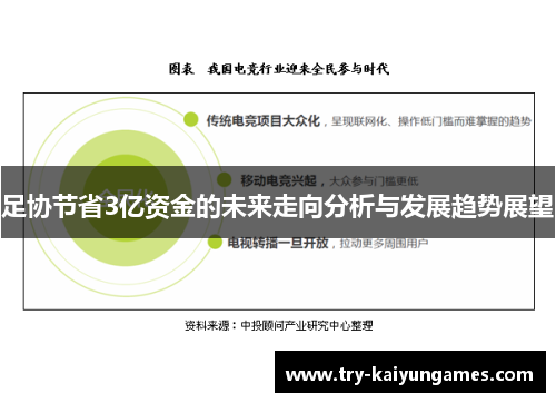 足协节省3亿资金的未来走向分析与发展趋势展望