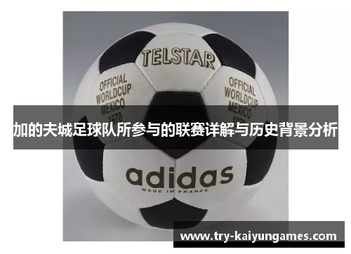 加的夫城足球队所参与的联赛详解与历史背景分析